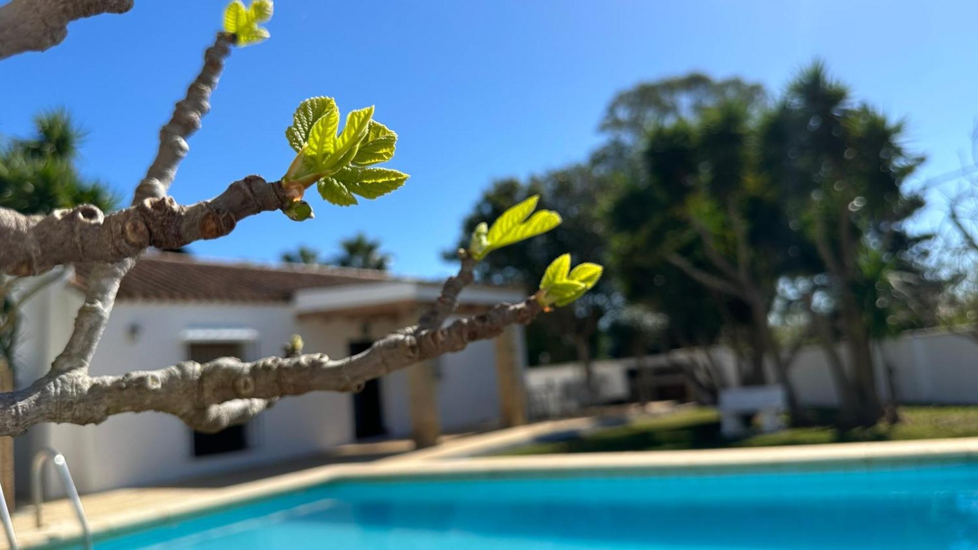 منزل الضيف كونيل ذي لا فرونتيرا  في Vivienda Rural Atlantico Sur & Familias المظهر الخارجي الصورة